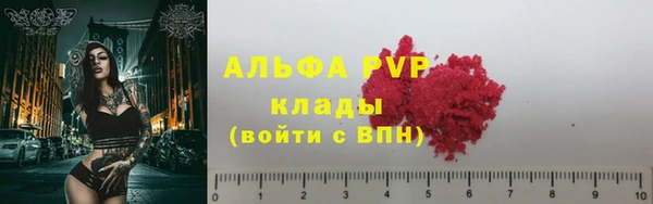 прущие крисы Белокуриха