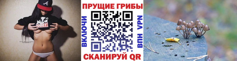 купить закладку Всеволожск MEGA зеркало Галлюциногенные грибы MAGIC MUSHROOMS